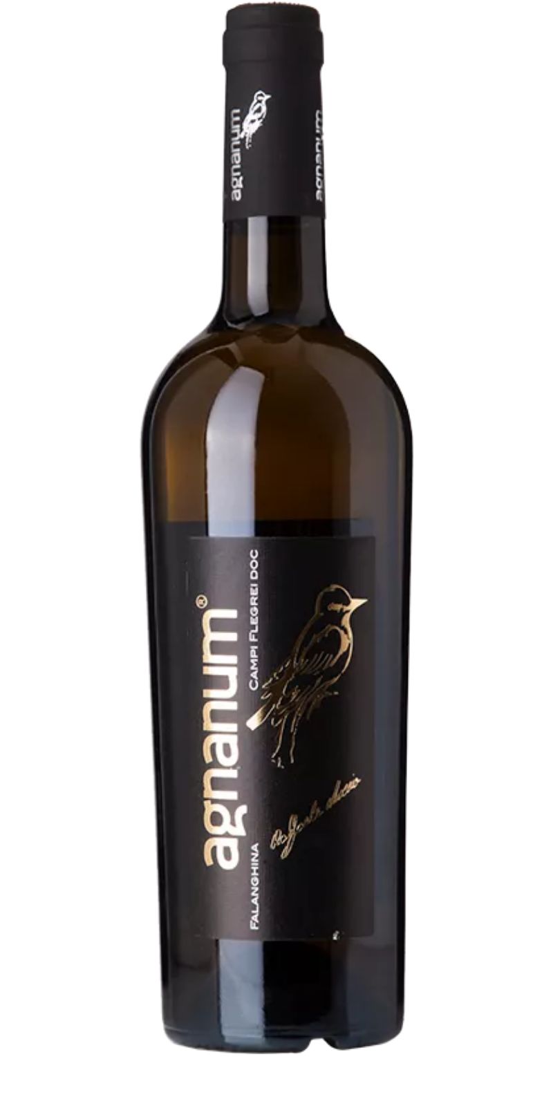 Campi Flegrei Falanghina