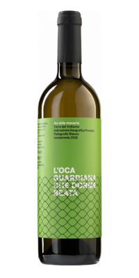 L'Oca Guardiana Che Dorme Beata Pallagrello Bianco