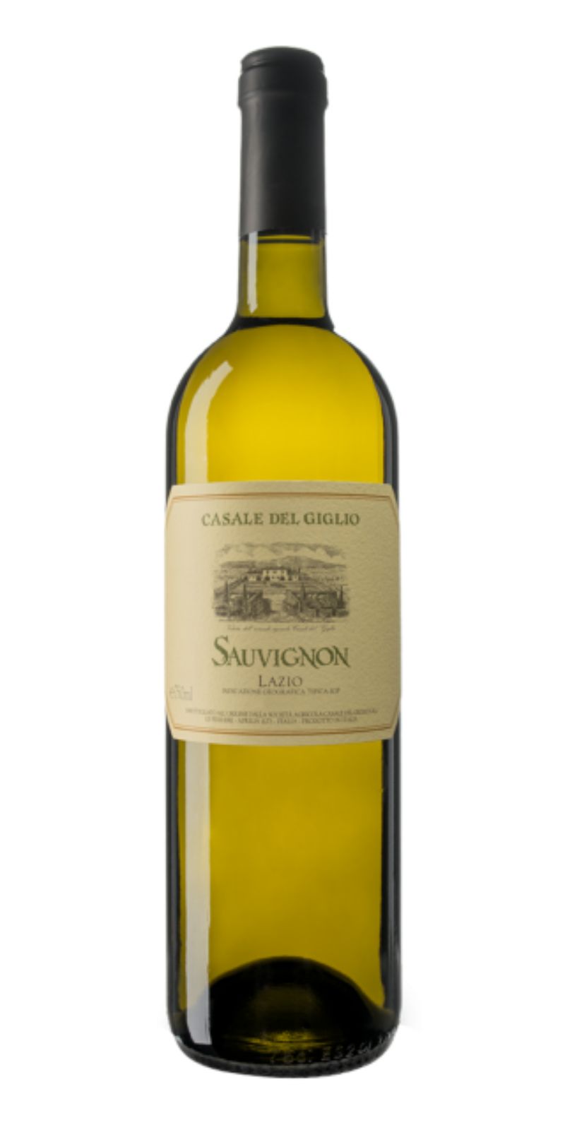Sauvignon