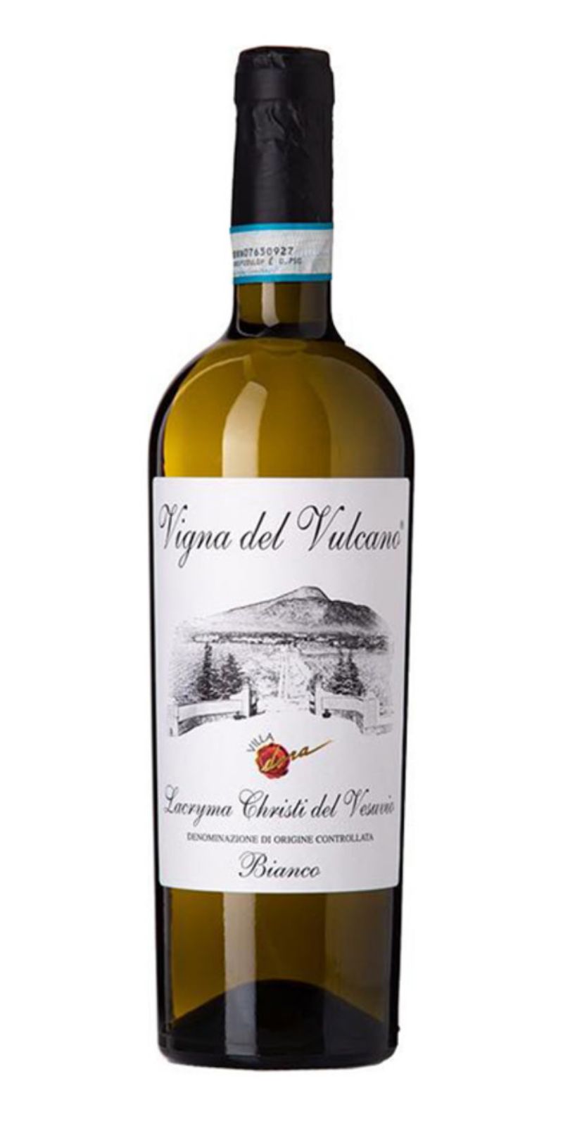 Vigna del Vulcano