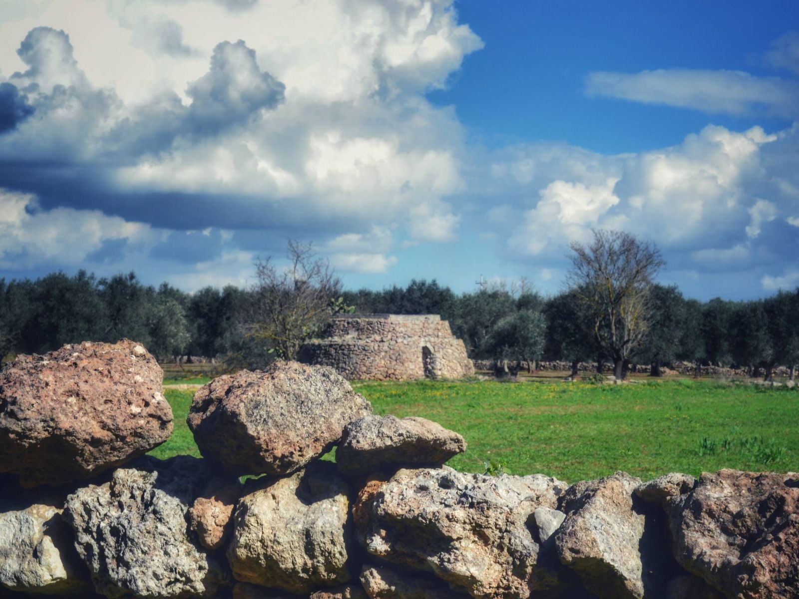 Antico Palmento