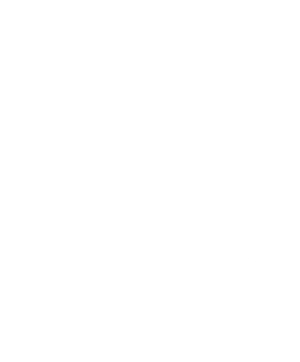 Mappa Puglia